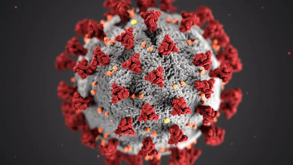 Coronavirus SARS-CoV-2