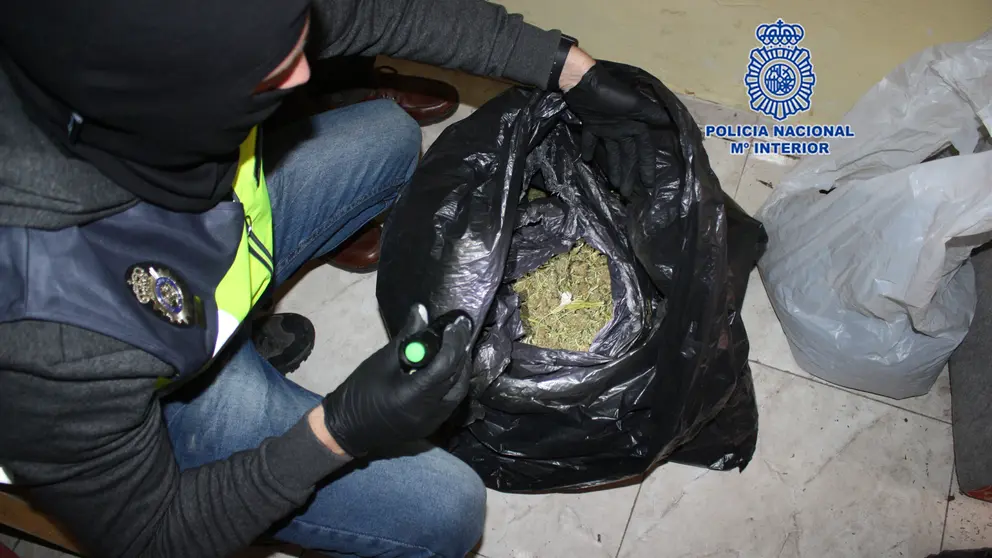 Narcocesta