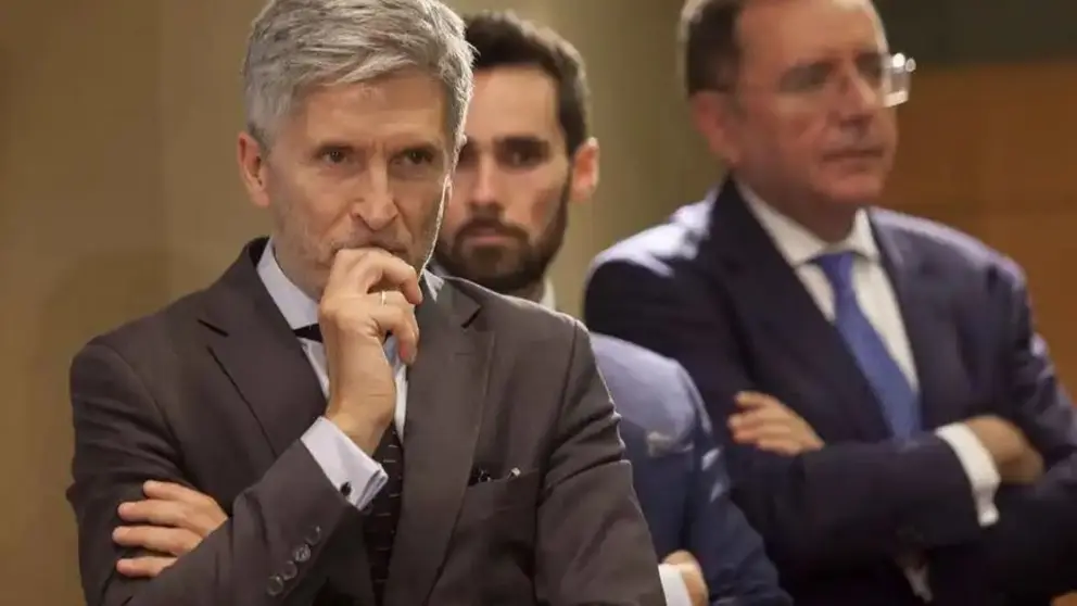 Fernando Grande-Marlaska
