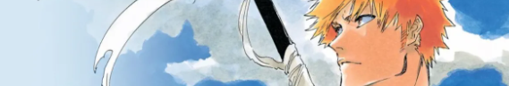 Bleach